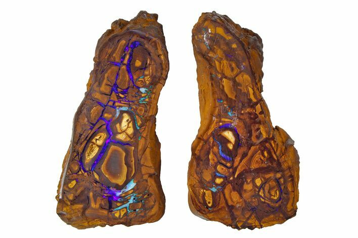 Stunning Yowah Matrix Boulder Opal Pair - Australia #381721